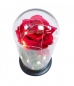 Luminária Rosa Encantada A Bela E A Fera 24x12cm - Disney