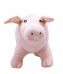 Porco Rosa 25cm - Pelúcia