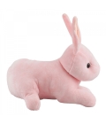 Coelho Rosa 23cm - Pelúcia